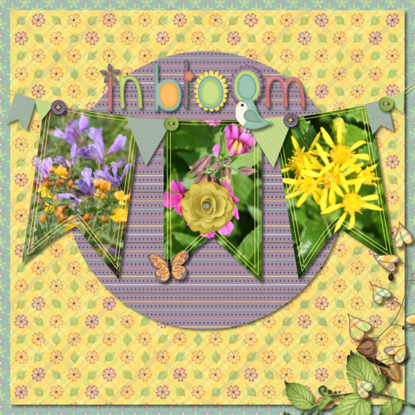Bloom