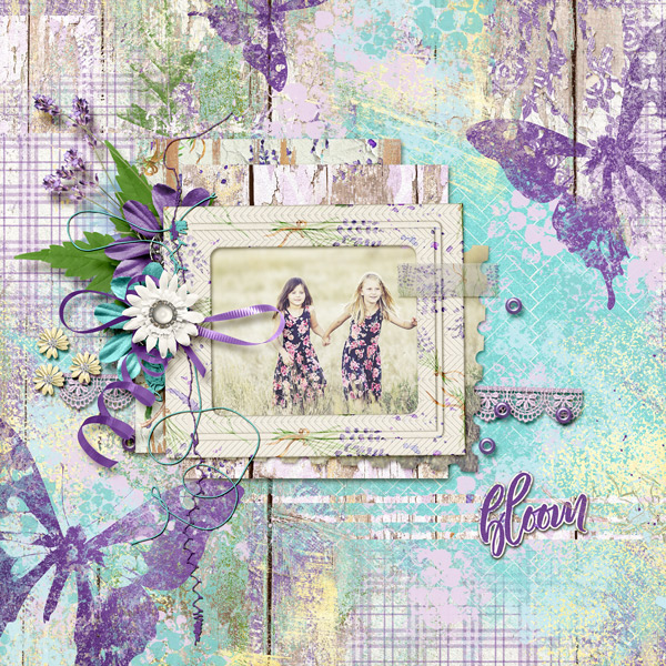 Bloom