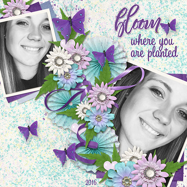 Bloom