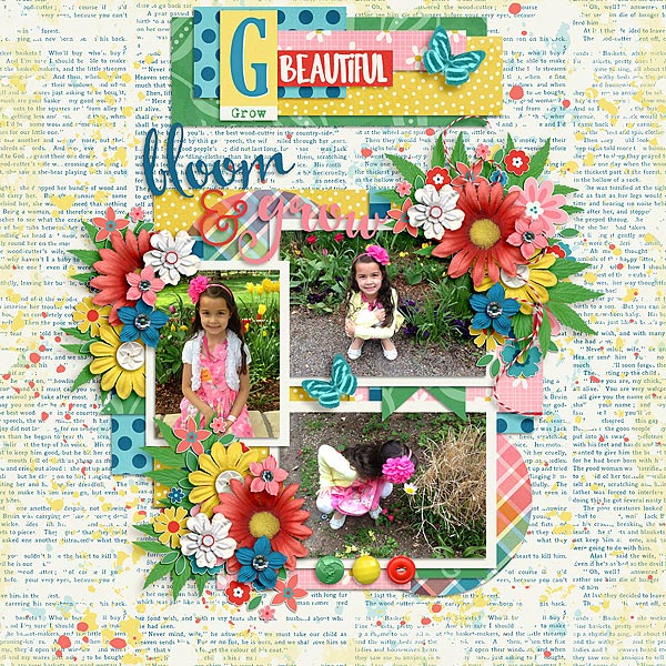 Bloom