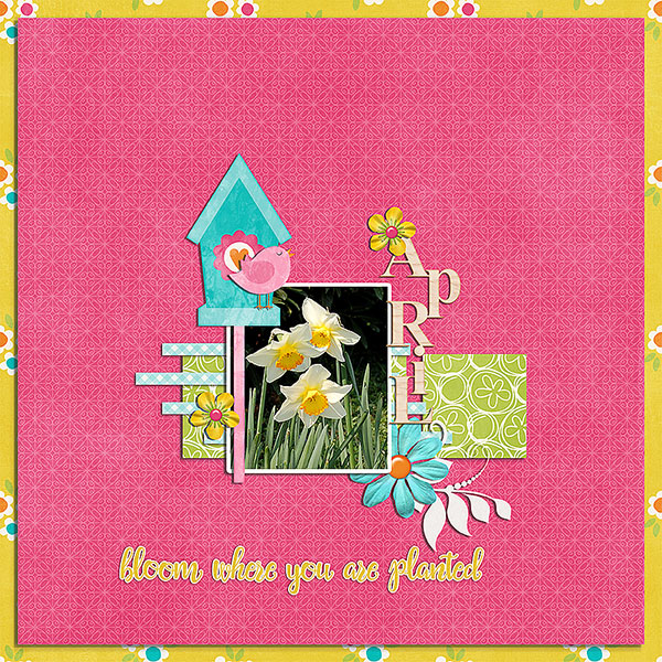 bloom