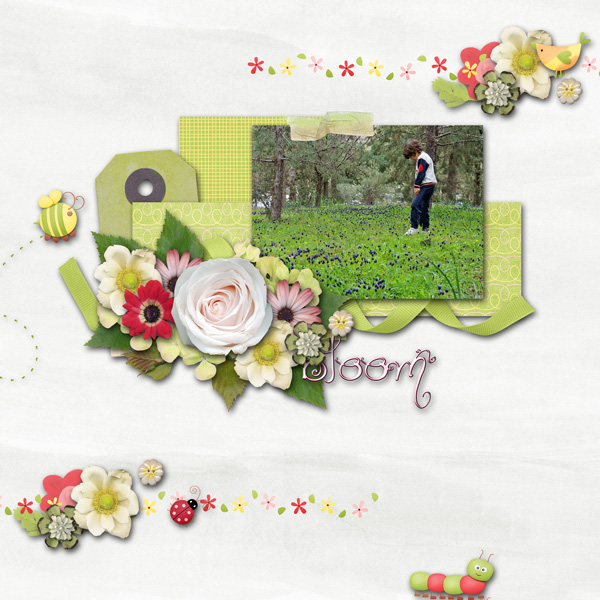 bloom