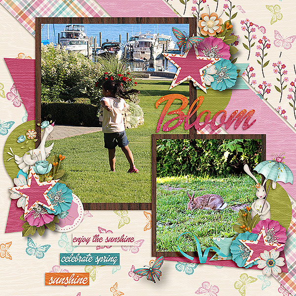 Bloom
