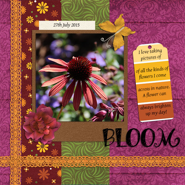 Bloom