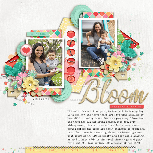Bloom