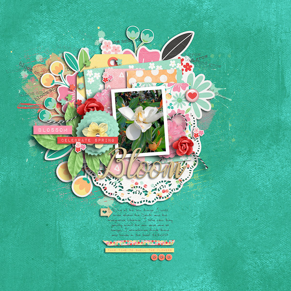 Bloom