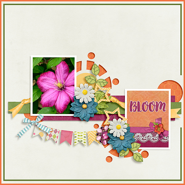 Bloom