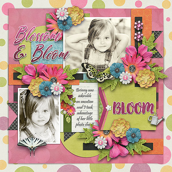 Bloom