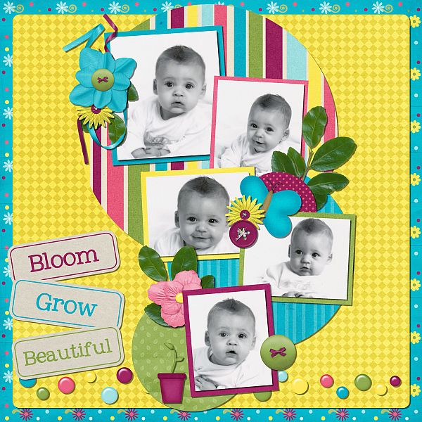 Bloom