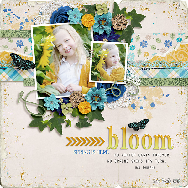 bloom
