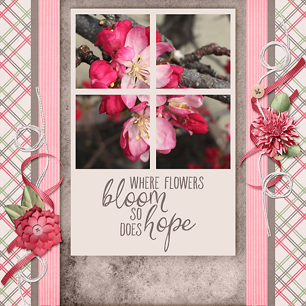 Bloom
