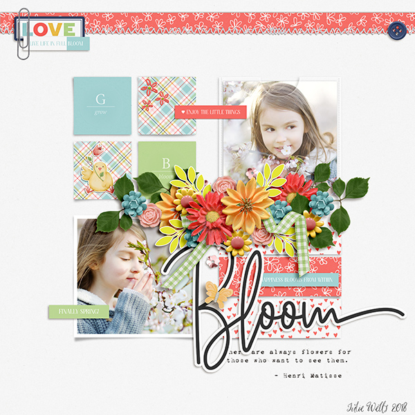 Bloom