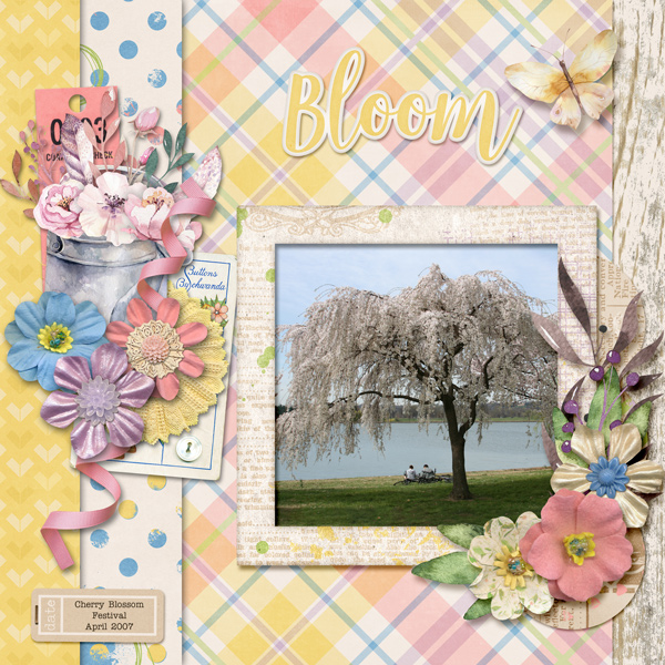 Bloom