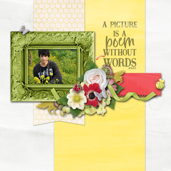 bloom