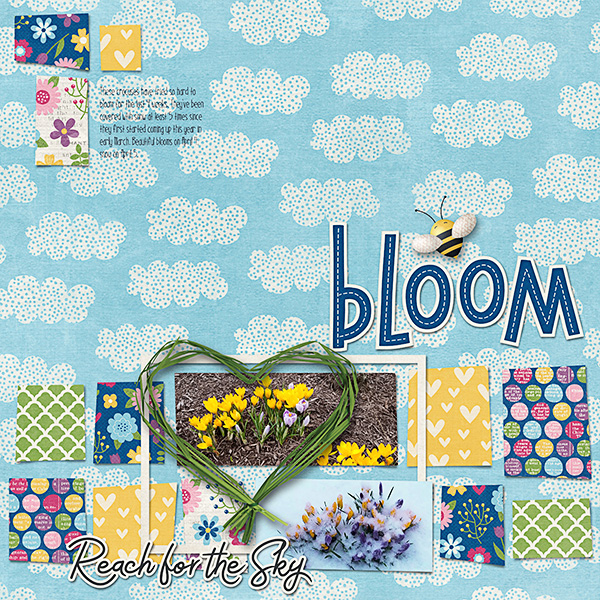 Bloom