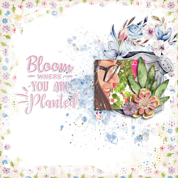 bloom