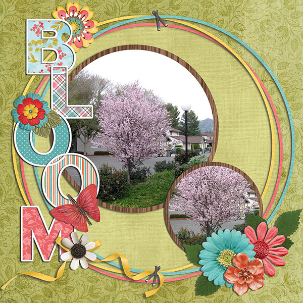 bloom