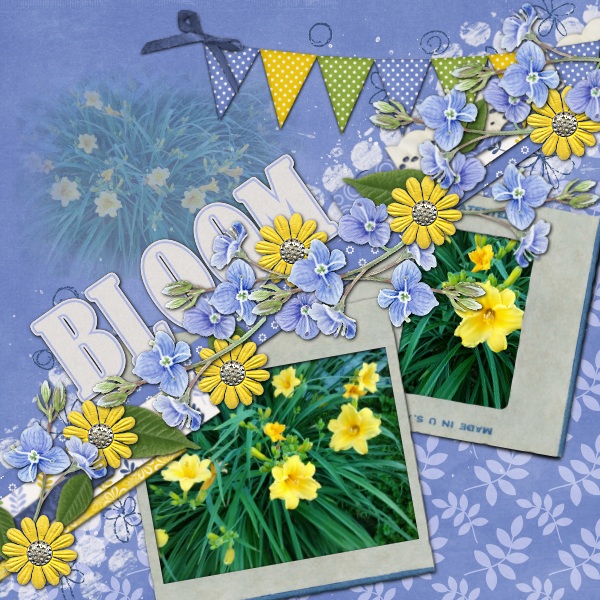 Bloom