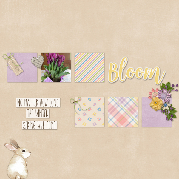 Bloom