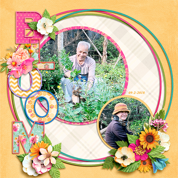 Bloom