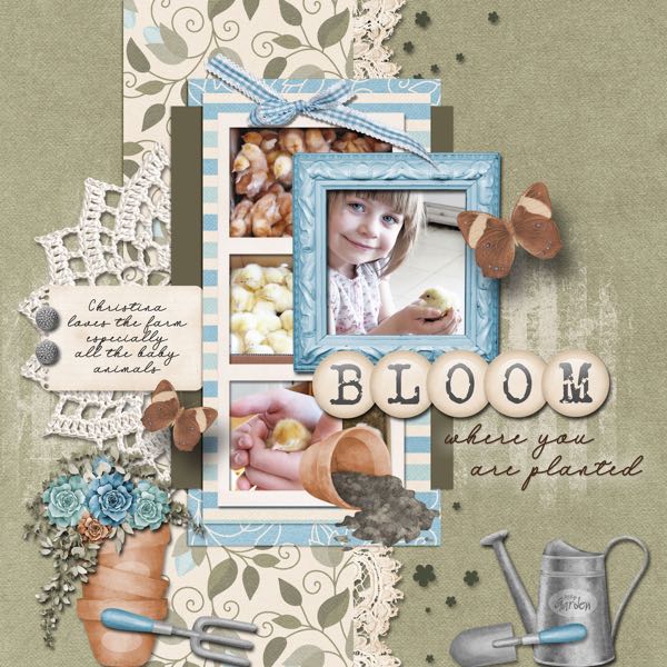Bloom