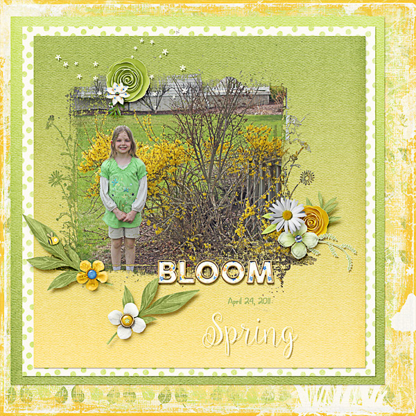 Bloom