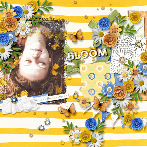 Bloom