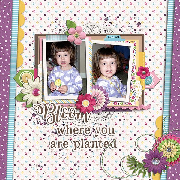 bloom