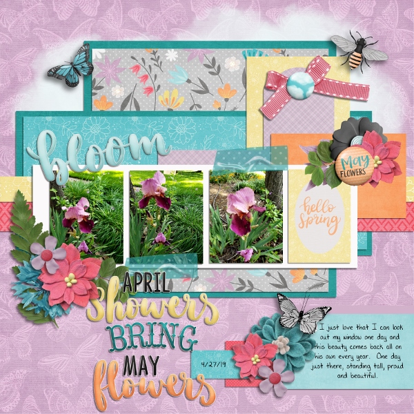 Bloom