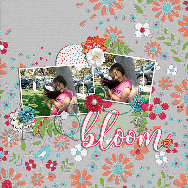 bloom