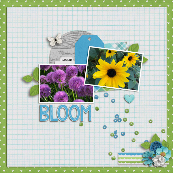 Bloom
