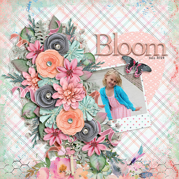 bloom