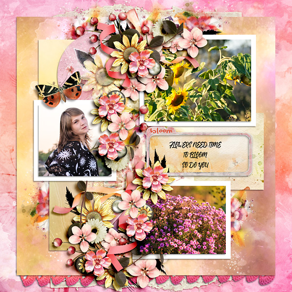 Bloom
