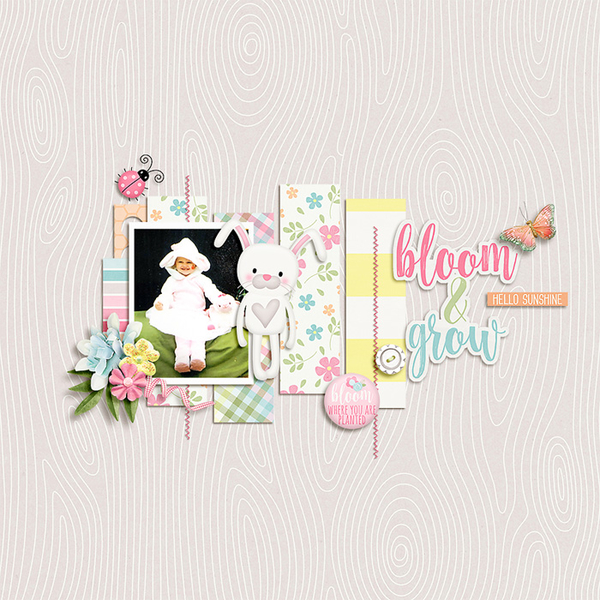 bloom