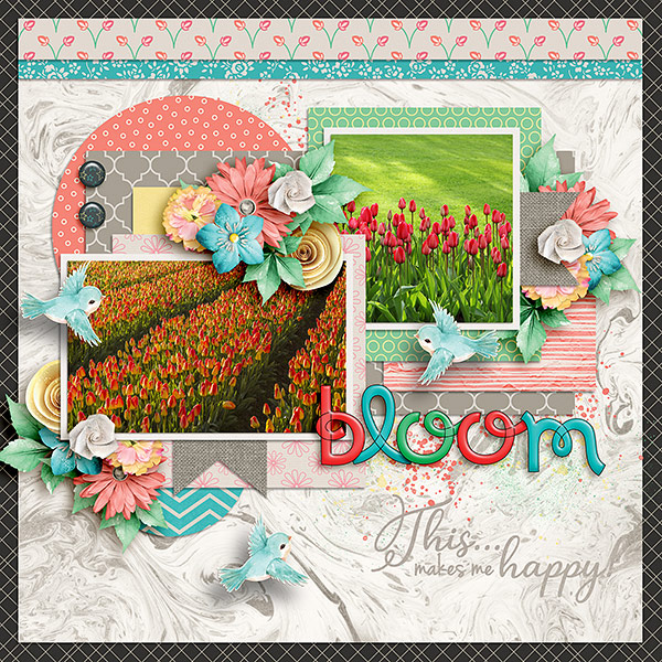 Bloom