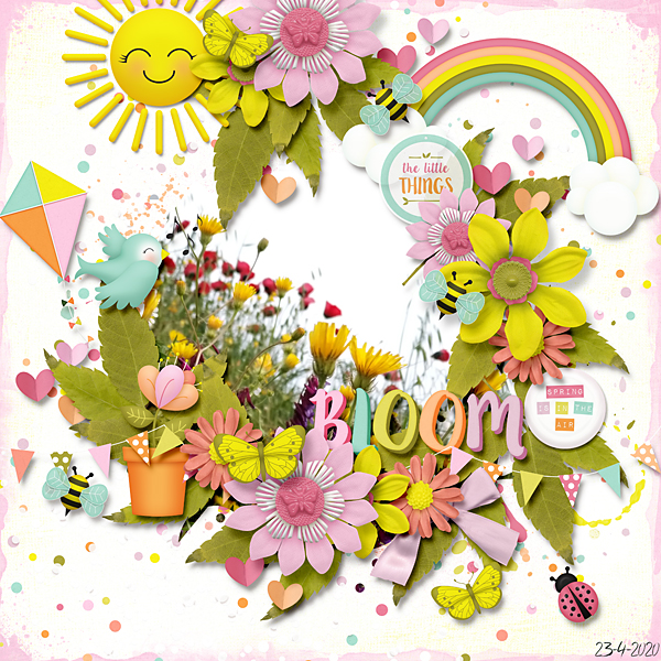 Bloom