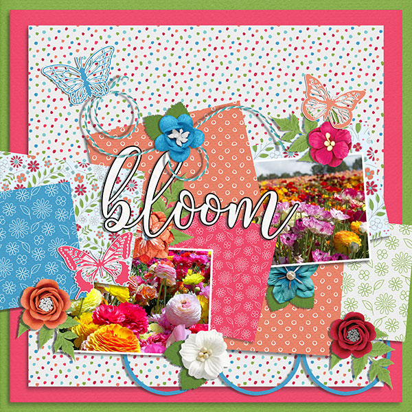 bloom
