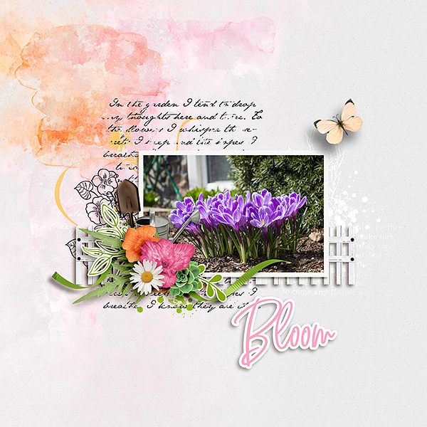 Bloom