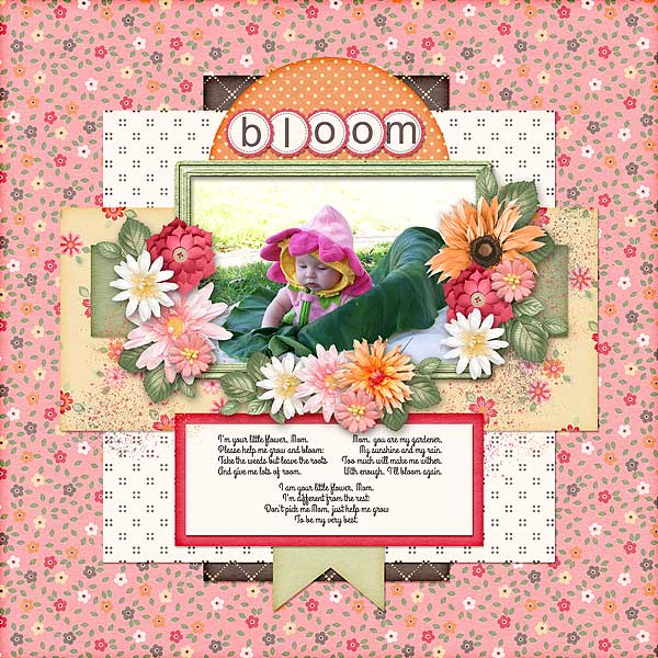 Bloom