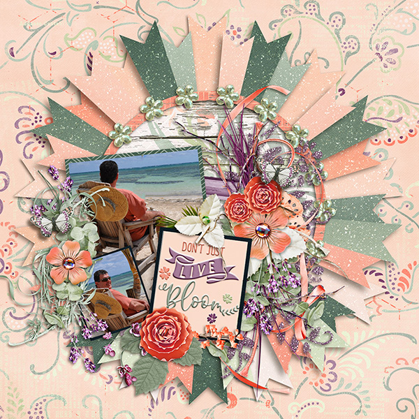 Bloom