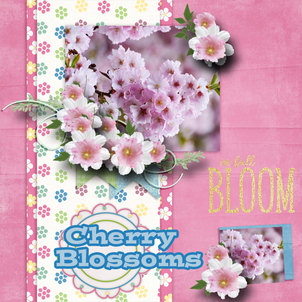Bloom