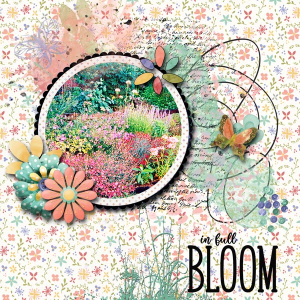 Bloom