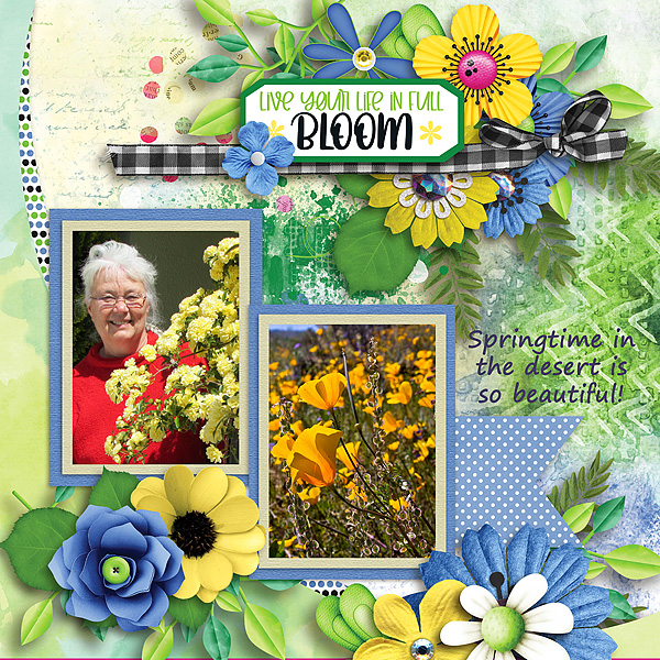 Bloom
