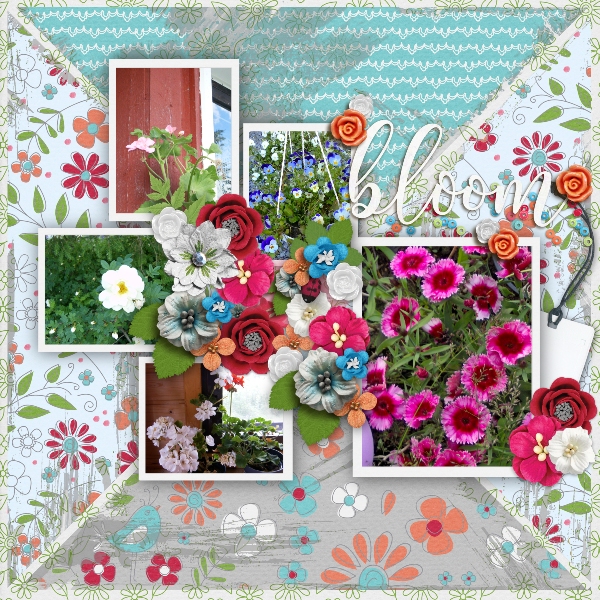 Bloom