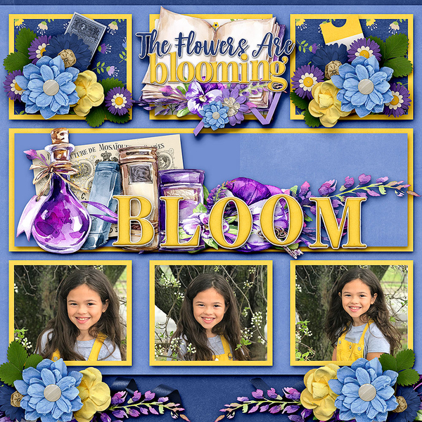 Bloom!