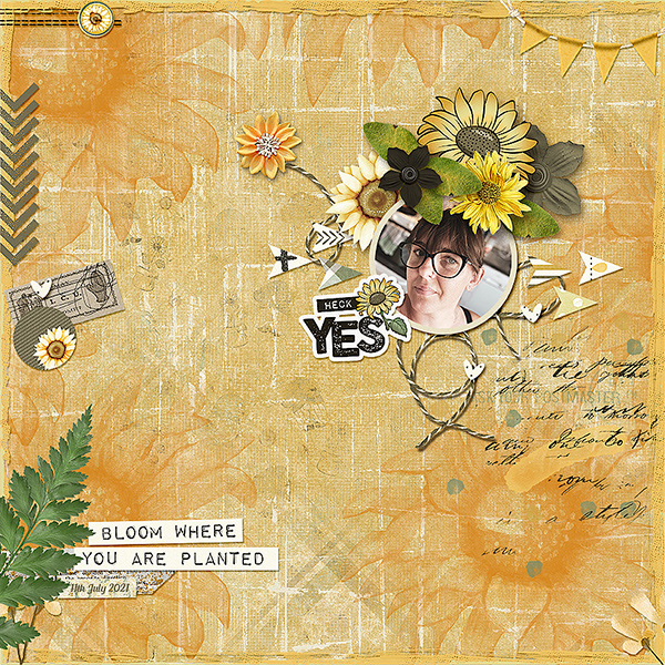 Bloom