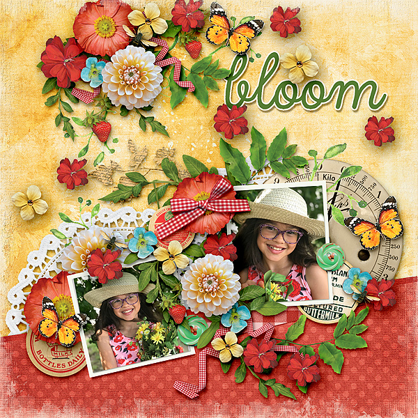 Bloom!