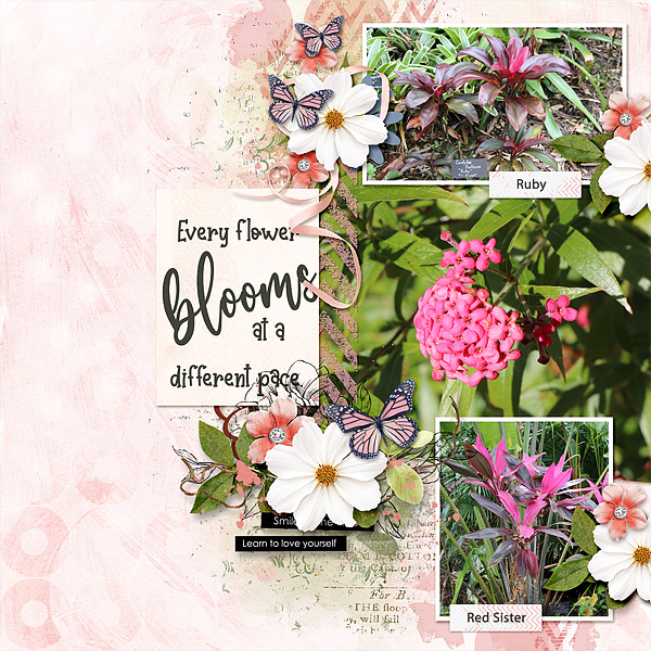 Bloom