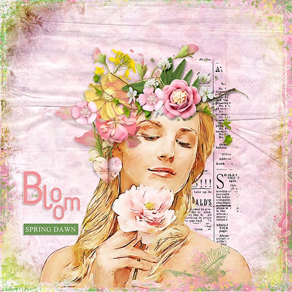 Bloom