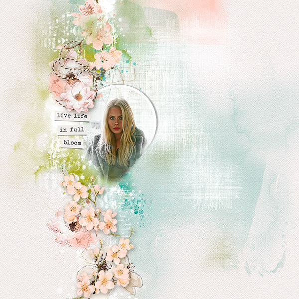 bloom